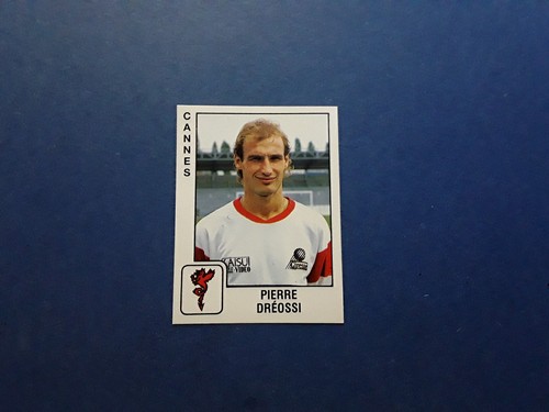 Panini football pierre - 90,