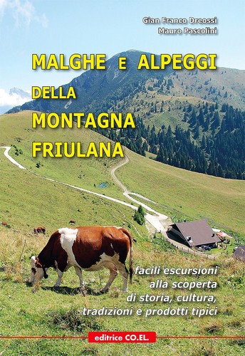Libro nuovo dreossi - libro,